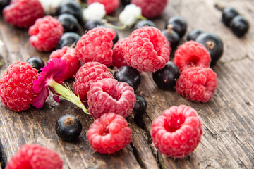 Ripe, juicy red raspberries and black currants are beautifully scattered on wooden boards.