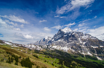 Swiss alps