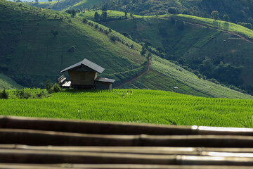 Beautiful scenery of Pa Bong Piang rice terraces. Rice fields on a hill with view of mount at Mae Chem of Chiang Mai in Thailand.