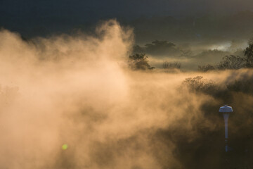 Naklejka premium fog in the fog