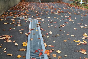 November 2022, Sendai City, Miyagi Prefecture.Scenery of Hirose riverbed.