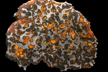 a fragment of meteorite pallasite whit olivine