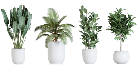 Rolgordijnen Plant in pot in 3d rendering © Buffstock