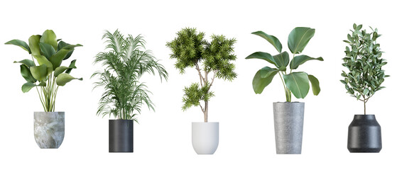 Planten in 3D-rendering Mooie plant in 3D-rendering geïsoleerd geïsoleerd