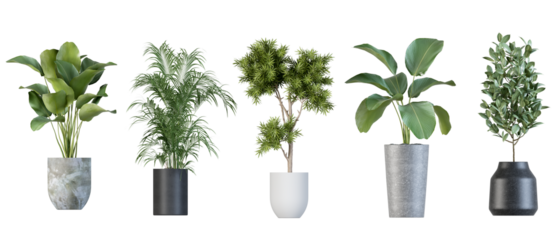Plants in 3d rendering. Beautiful plant in 3d rendering isolated 