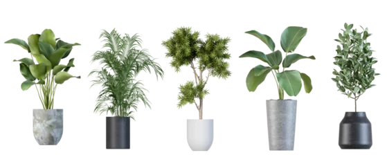 Poster Im Rahmen Pflanzen in 3D-RenderingSchöne Pflanze in 3D-Rendering isoliertg isoliert © Buffstock
