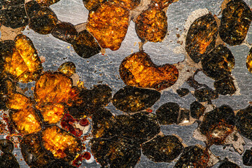 a fragment of meteorite pallasite whit olivine © Alexandre