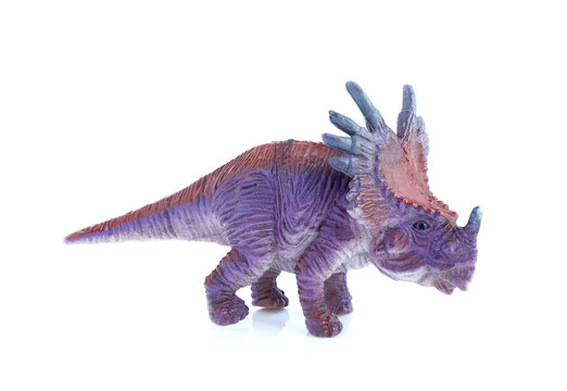 Dinosaur toy isolated on white background. Styracosaurus figure plastic toy for young kid.