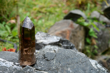 An image of a single tall smoky quartz crystal tower place on a rock at the edge of a flower garden.