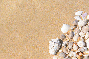 Fototapeta na wymiar Many beautiful sea shells on sandy beach, above view. Space for text