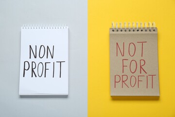 Notebooks with phrases Non Profit and Not for Profit on color background, flat lay
