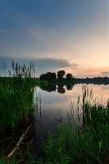 Beautiful summer landscape. Green grass on the shores of the lake with the sun going down.
