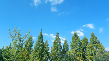 Fototapeta premium Sunlight with white fluffy clouds on blue sky