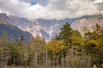 Kamikochi's hiking trail that walks through a nature trail in the heart of the Japanese mountains with the beauty of pines and mature trees changing their colors in the fall.