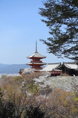 清水寺