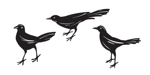 Cute Animal set with black birds. Hand drawn sketch style. Isolated on white background. Vector illustration.