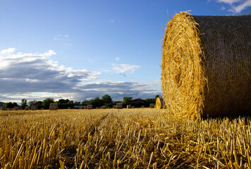 straw bales on a field