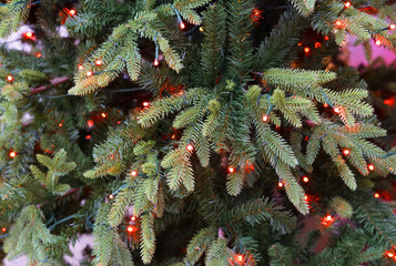 Close up on Christmas tree with light