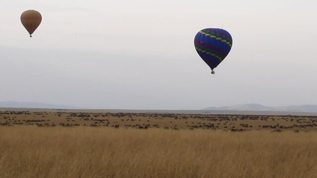 Balloons over the savanna. Masai Mara, Kenya, Africa