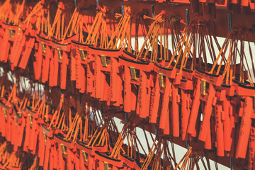 10 April 2012 the Small of Tori Gates, Kyoto, Japan
