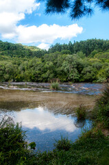 View of a beautiful river with a forest next to it and blue sky with clouds in the background