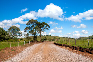 Fototapeta na wymiar Ground road with trees, blue sky and clouds in the background