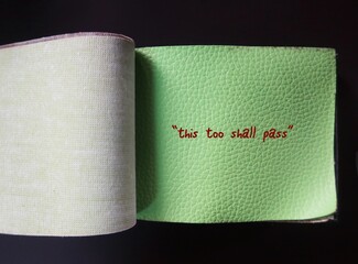 Green PU with handwritten red text THIS TOO SHALL PASS, self reminder mantra that nothing, good or...