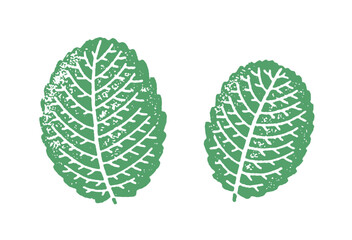 One color textured illustration of mint leaves