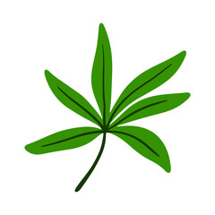 Fototapeta premium tropical leaf illustration for green design element