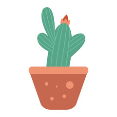 Aesthetic Cacti Element