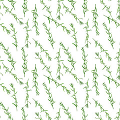 Obraz premium drawing seamless pattern with plant of estragon, Tarragon, Artemisia dracunculus, medicinal plants, aromatic herbs, hand drawn illustration