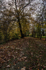 Park w Iwoniczu 
