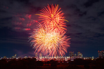 夜空に打ち上がる花火