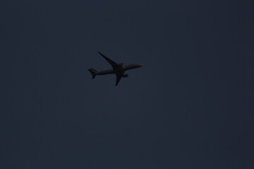 Plane