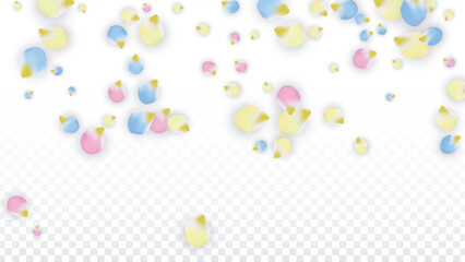 Vector Realistic Colorful Petals Falling on Transparent Background.  Spring Romantic Flowers Illustration. Flying Petals. Sakura Spa Design. Blossom Confetti. Design Elements for Wedding Decoration.