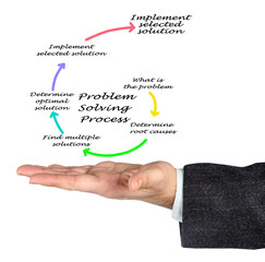 Components of Problem Solving Process