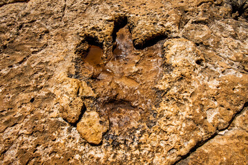 2022 08 09 Croazia track 1
