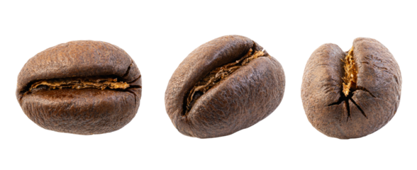 Roasted peaberry coffee beans (also known in Spanish as caracolillo) isolated on white background