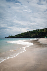 beach with palm trees