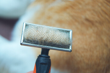 Bring the use of brushing, cleaning, pet hair, combing on the cat's body, helping to make them happy, reducing stuffiness, that can cause disease, allergies.