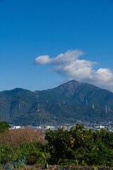 渋沢丘陵から見た丹沢