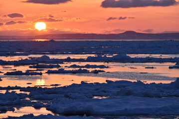 Fototapeta premium Bird watching with floating ices in winter