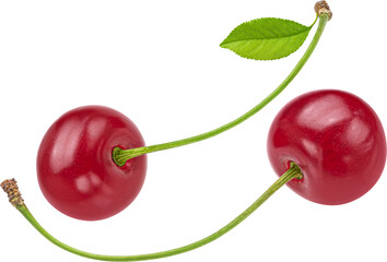 Cherry berry isolated