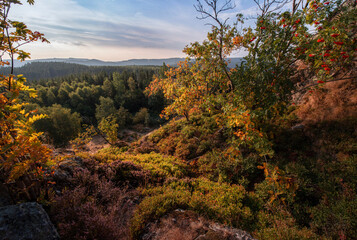 Fototapeta premium Autumn morningsun sunlight sun on mountains in germany