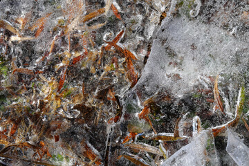 The surface of a frozen puddle with beautiful, wavy patterns and a frozen fallen leaf.