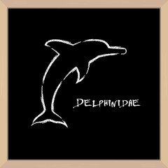 Dolphin icon hand drawn in chalk. Latin inscription. School board in a light wooden frame. 3D realistic vector illustration.