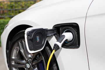 Electric vehicle on the charging process