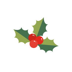 Cute cartoon style mistletoe, holly icon, vector illustration for Christmas design.
