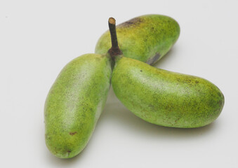 ポポーの実　白背景