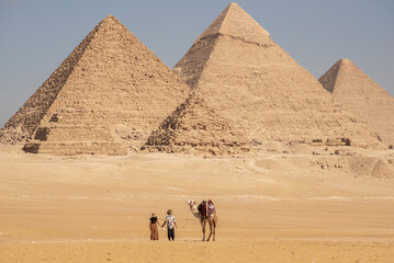 Camels at Pyramids of Giza